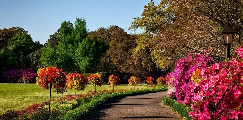 opinión de herramientas de jardinería